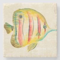 Colourful Fish