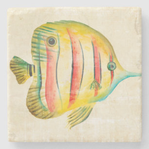 Colourful Fish Stone Coaster