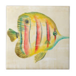 Colourful Fish Tile<br><div class="desc">Colourful Aquarium Fish 2 Artist: Chariklia Zarris</div>