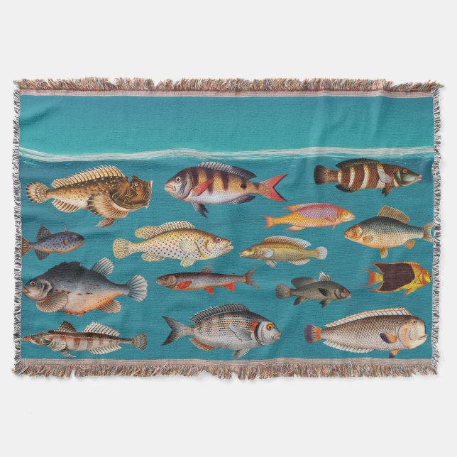 Colourful Fish Under Blue Ocean Water  Throw Blanket (Front)
