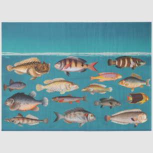 Colourful Fish Under Blue Ocean Water Tissue Paper