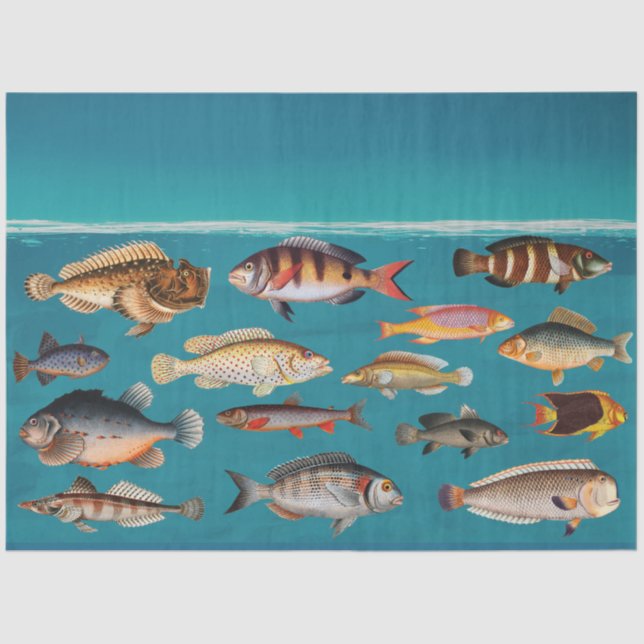 Colourful Fish Under Blue Ocean Water  Tissue Paper (Front)
