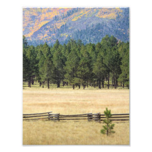 Colourful Flagstaff field Photo Print