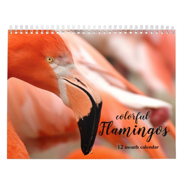 Colourful Flamingos 2026 Calendar (Cover)