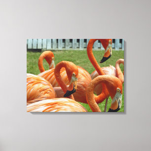 Colourful flamingos canvas print