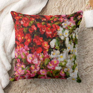 Colourful Floral Medley of Wax Begonias Cushion