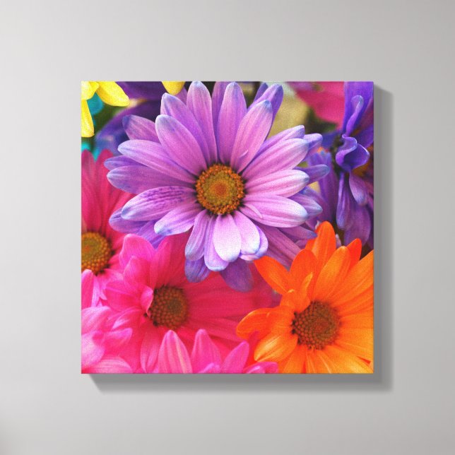 Colourful Flower Daisies Canvas  Single Print (Front)