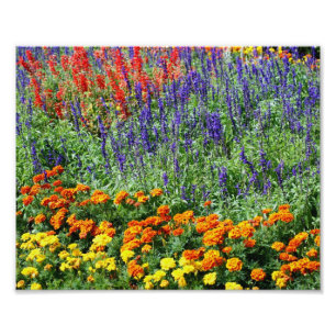 Colourful Flower Garden 10x8 Floral Print