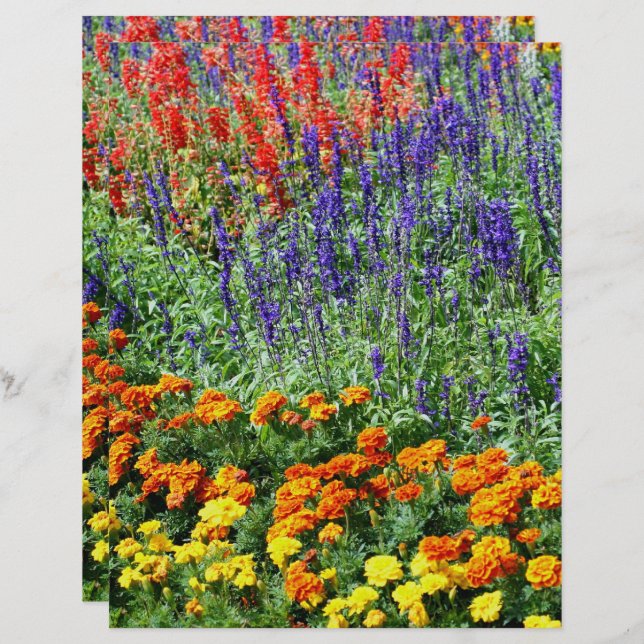 Colourful Flower Garden In Summer Scrapbook (Front/Back)