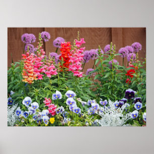 Colourful Flower Garden Photo Poster