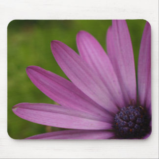 Colourful flower mousepad purple african daisy