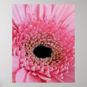 Colourful Flower Nature Decor