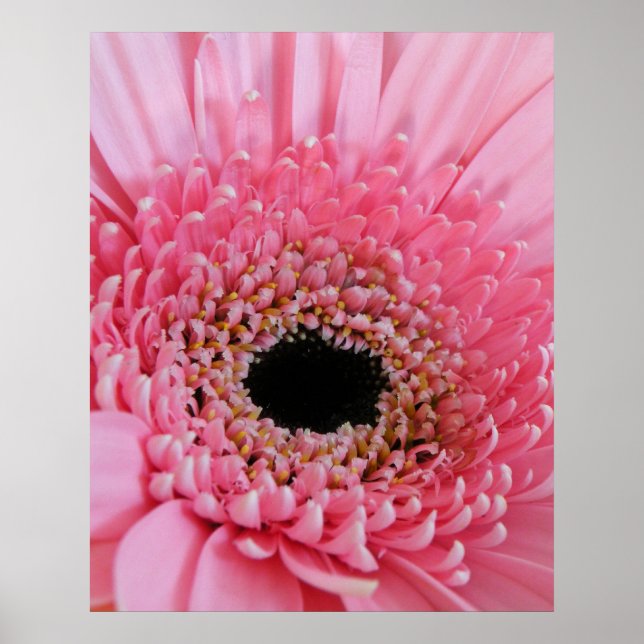 Colourful Flower Nature Decor (Front)
