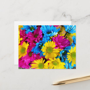 Colourful Flowers, Daisies - Blue Yellow Pink Postcard