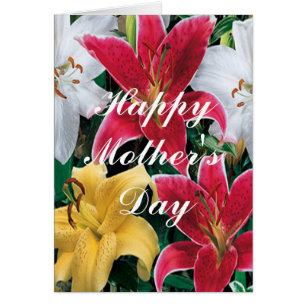 Colourful Flowers Greeting Card