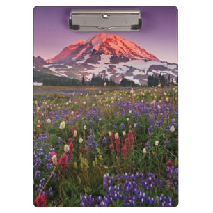 Colourful Flowers in Rainier National Park Clipboard
