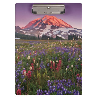 Colourful Flowers in Rainier National Park Clipboard