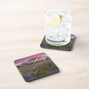 Colourful Flowers in Rainier National Park Coaster