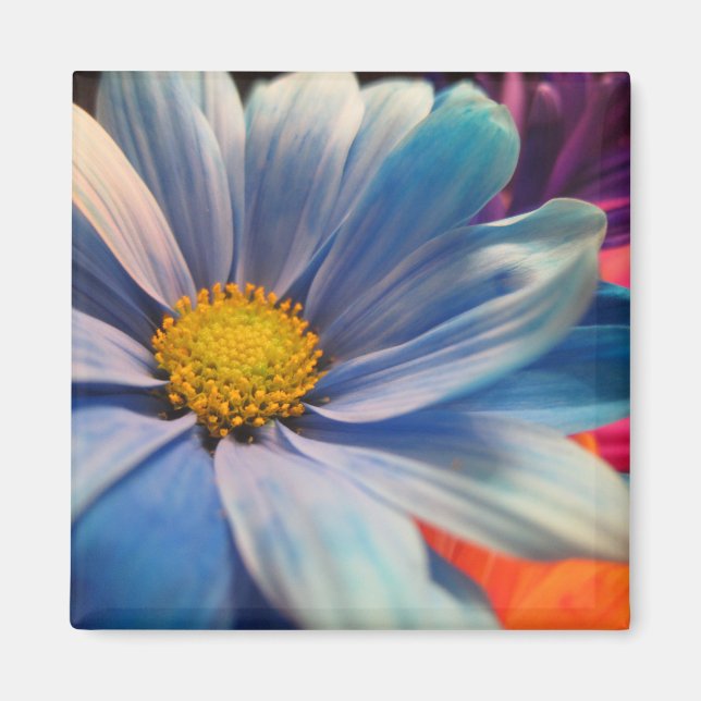 Colourful Flowers Magnet (Front)