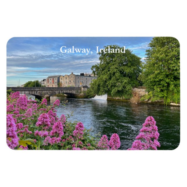 Colourful Flowers on River Corrib Galway, Ireland  Magnet (Horizontal)