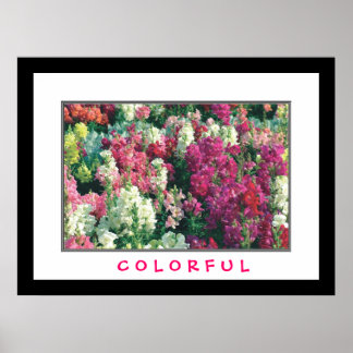 Colourful Flowers Poster