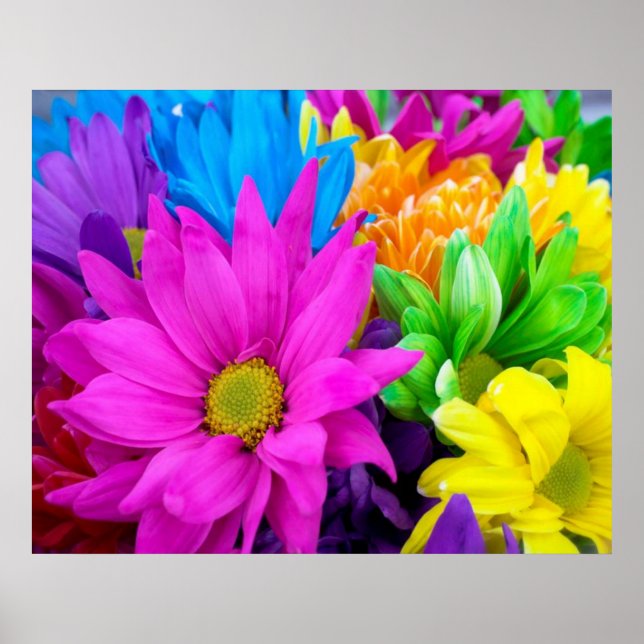 Colourful Flowers Poster (Front)
