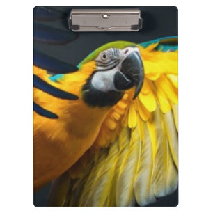Colourful flying Ara on a dark background Clipboard