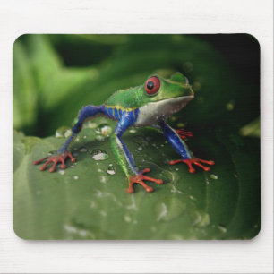 Colourful Frog Mouse Pad