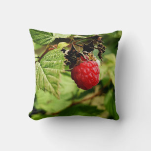 Colourful Fruits And Vegetables Cushion