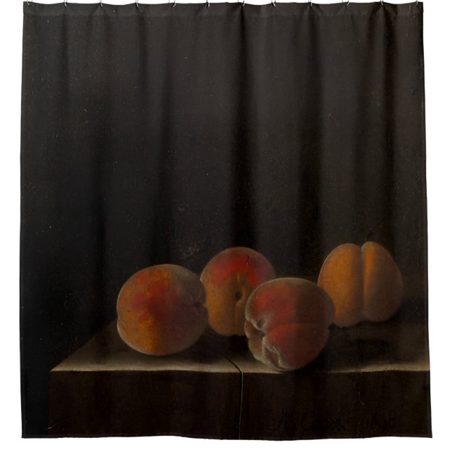 Colourful Fruits And Vegetables Shower Curtain (Front)