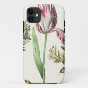 Colourful Fruits Case-Mate iPhone Case