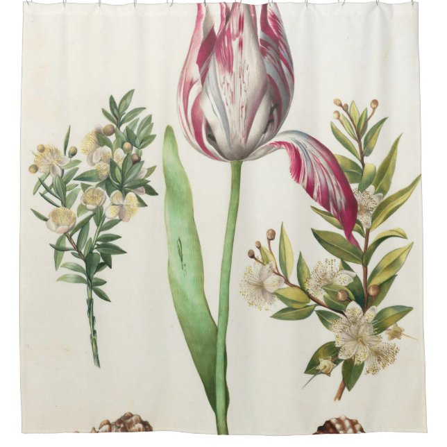Colourful Fruits Shower Curtain (Front)
