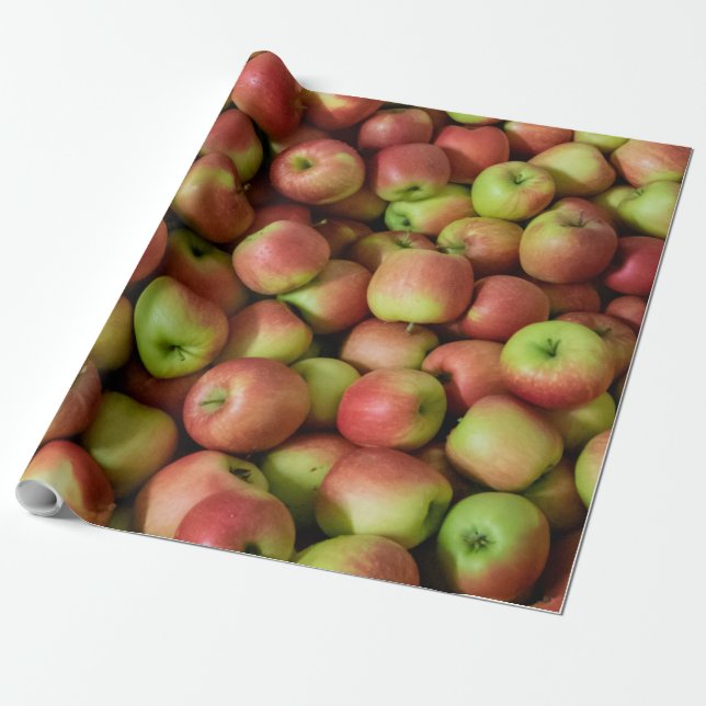 Colourful Fruits Wrapping Paper (Unrolled)