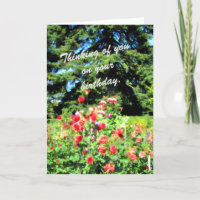 Colourful Garden Flowers for a Special Person
