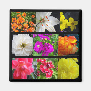 colourful garden flowers magnet