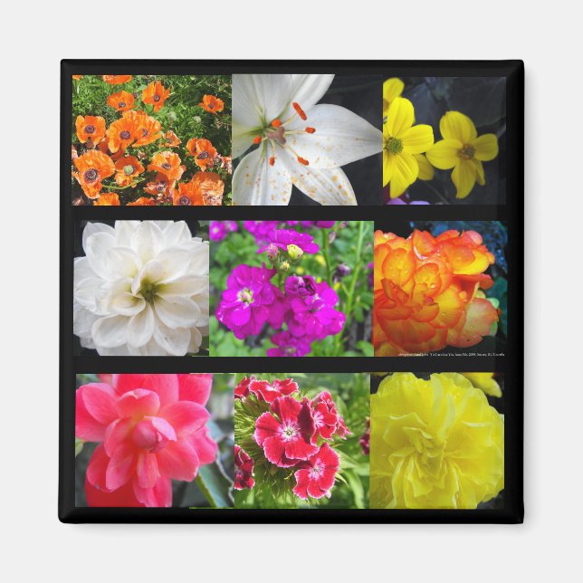 colourful garden flowers magnet (Front)