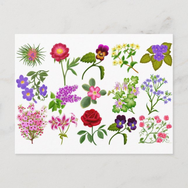 Colourful Garden Flowers Pocket Calendar Postcard (Front)