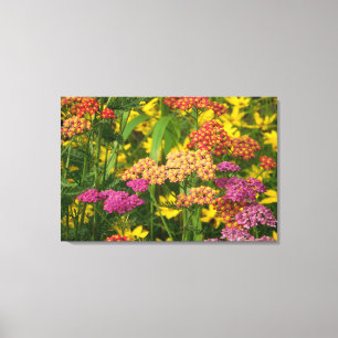 Colourful Garden Flowers Wrapped Canvas Print