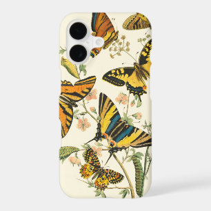 Colourful Gathering of Butterflies and Caterpillar
