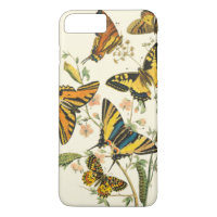 Colourful Gathering of Butterflies and Caterpillar