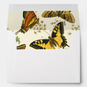 Colourful Gathering of Butterflies and Caterpillar Envelopes