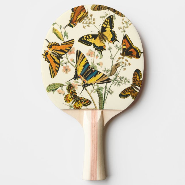 Colourful Gathering of Butterflies and Caterpillar Ping Pong Paddle (Front)