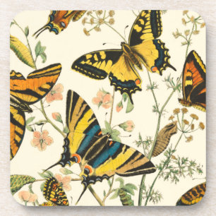 Colourful Gathering of Butterflies and Coaster