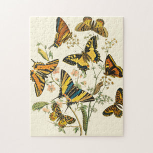 Colourful Gathering of Butterflies and Jigsaw Puzzle