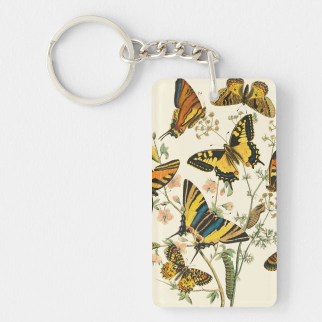 Colourful Gathering of Butterflies and Key Ring (Front)