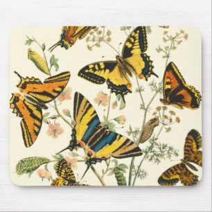 Colourful Gathering of Butterflies and Mouse Pad