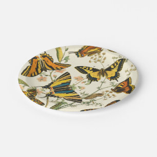 Colourful Gathering of Butterflies and Paper Plate