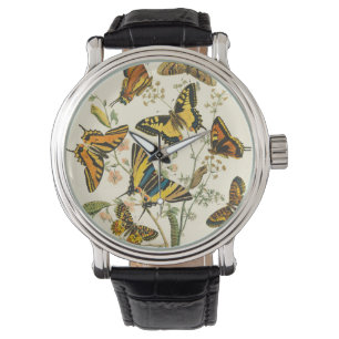 Colourful Gathering of Butterflies and Watch