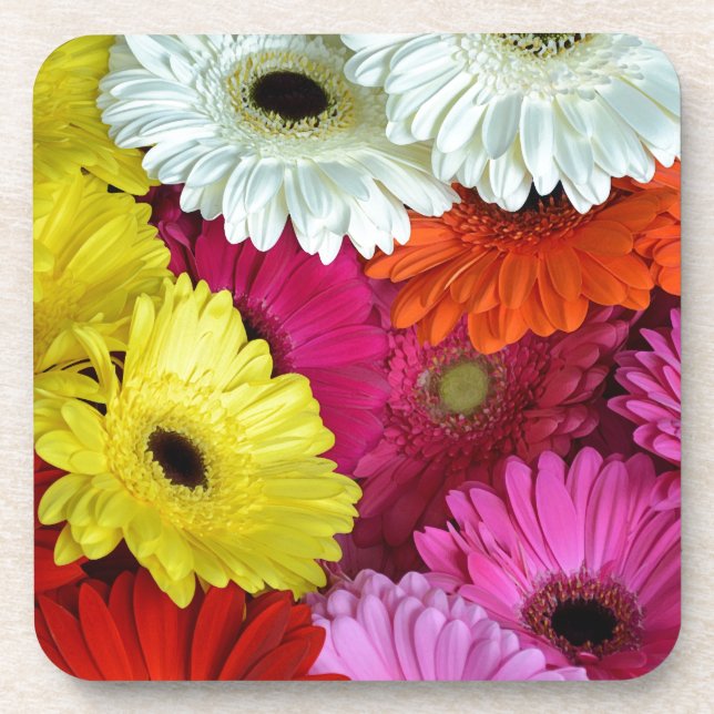Colourful gerber flowers coaster (Front)