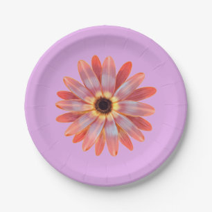 Colourful Gerbera Daisy Paper Plate